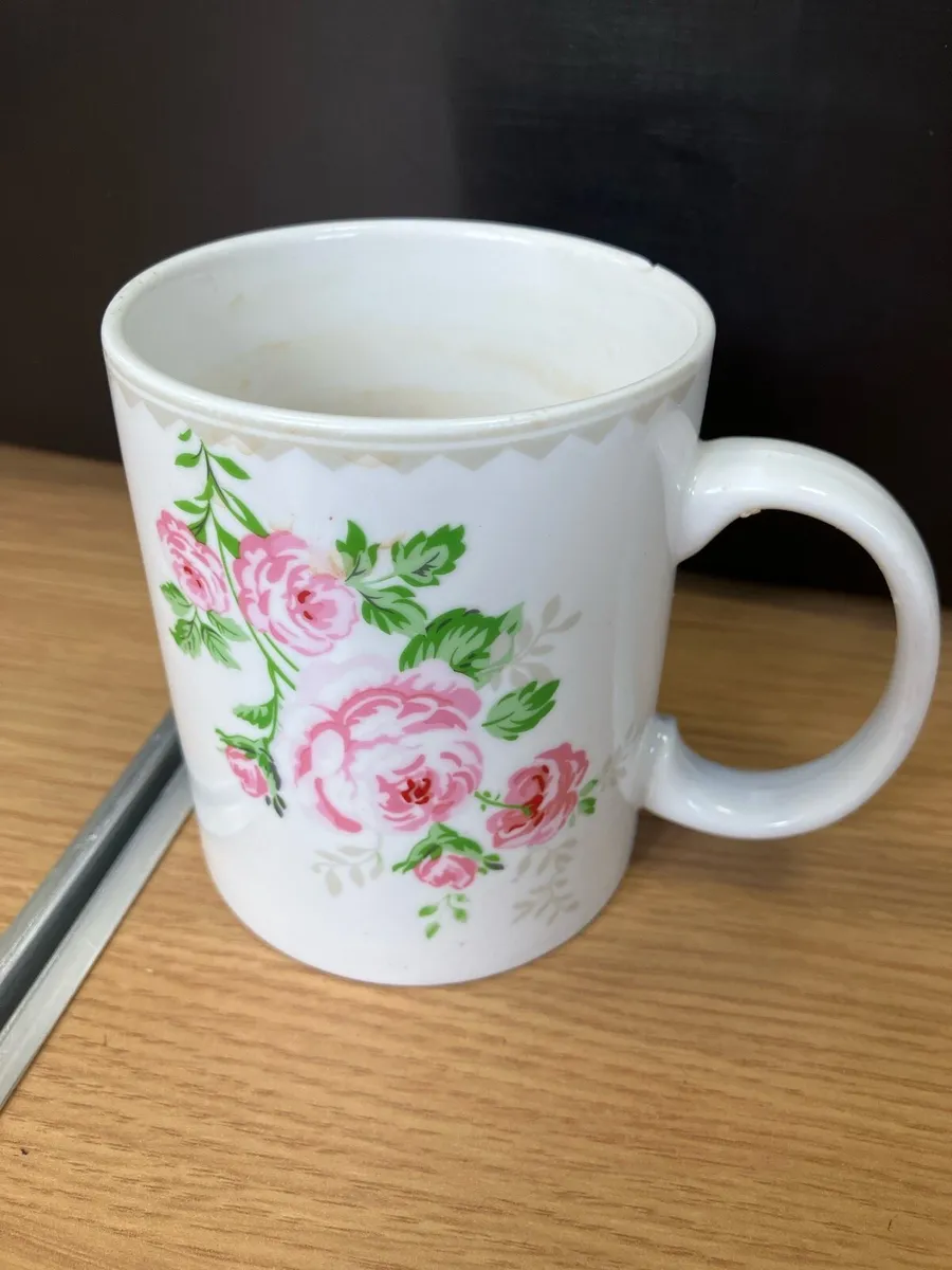 Domestic Mug