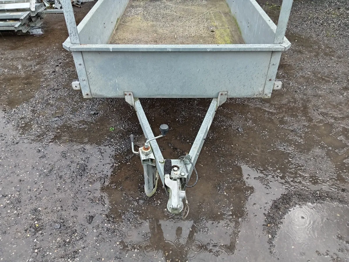 Yard Clearance - Image 3