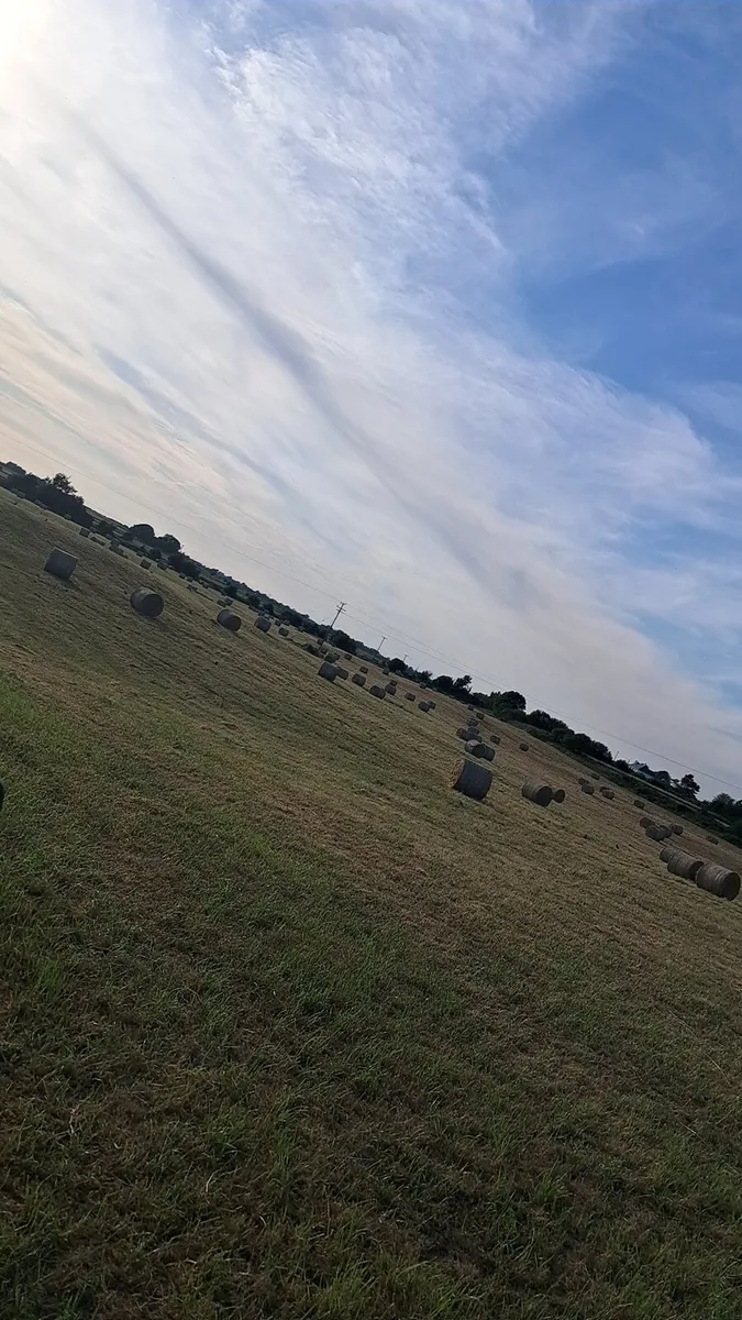 Hay - Image 4