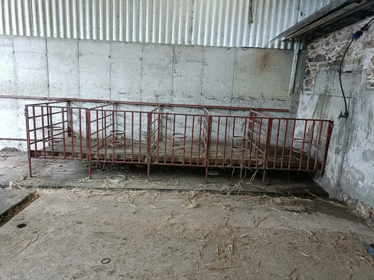 Calf pens - Image 1