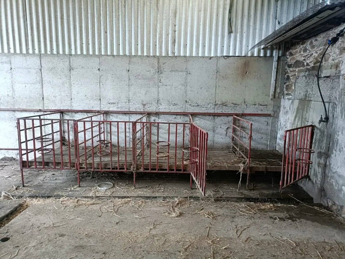 Calf pens - Image 2
