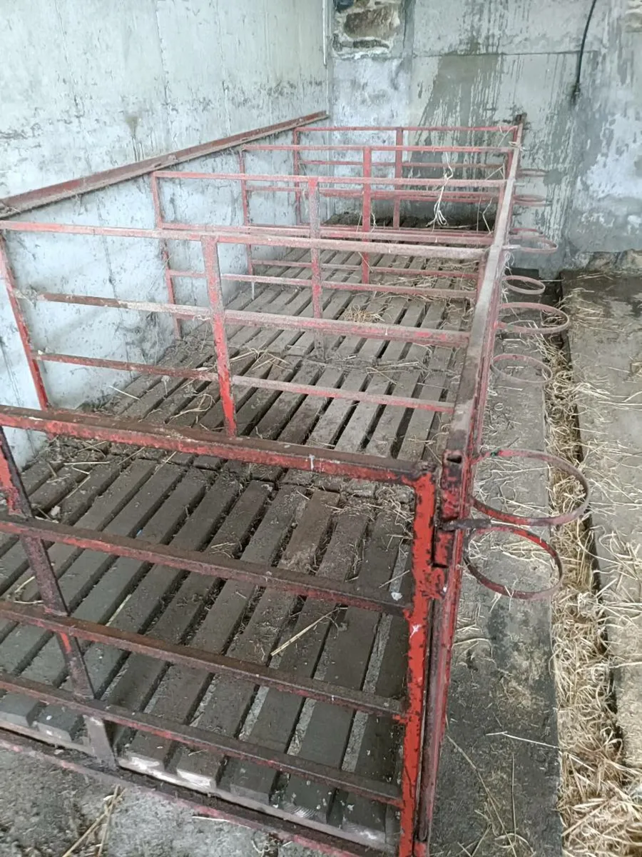 Calf pens - Image 3