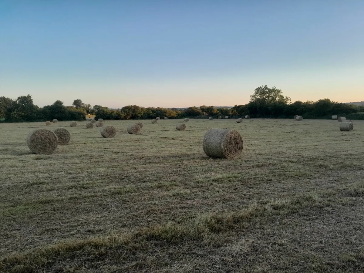 Hay bales 4 x 4 - Image 2