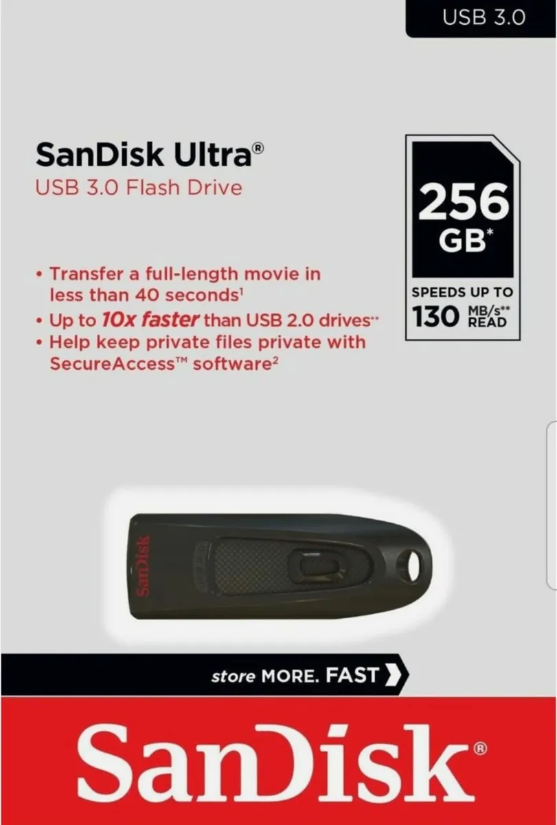 SanDisk 256 gb USB Memory Sticks