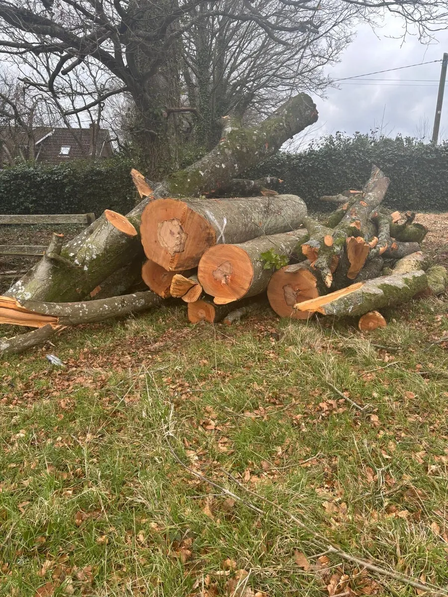 Timber in Lenghts for sale - Image 3