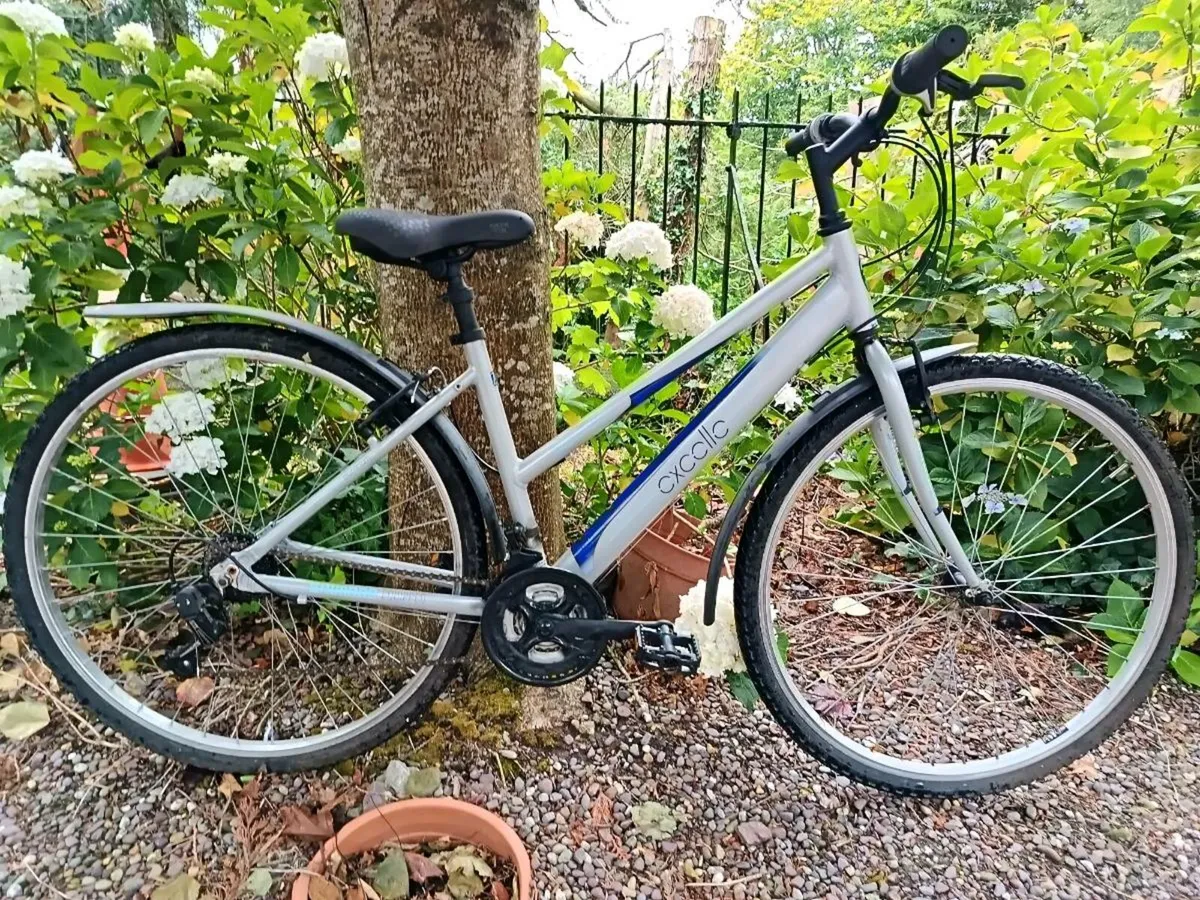 Ladies Hybrid Bicycle