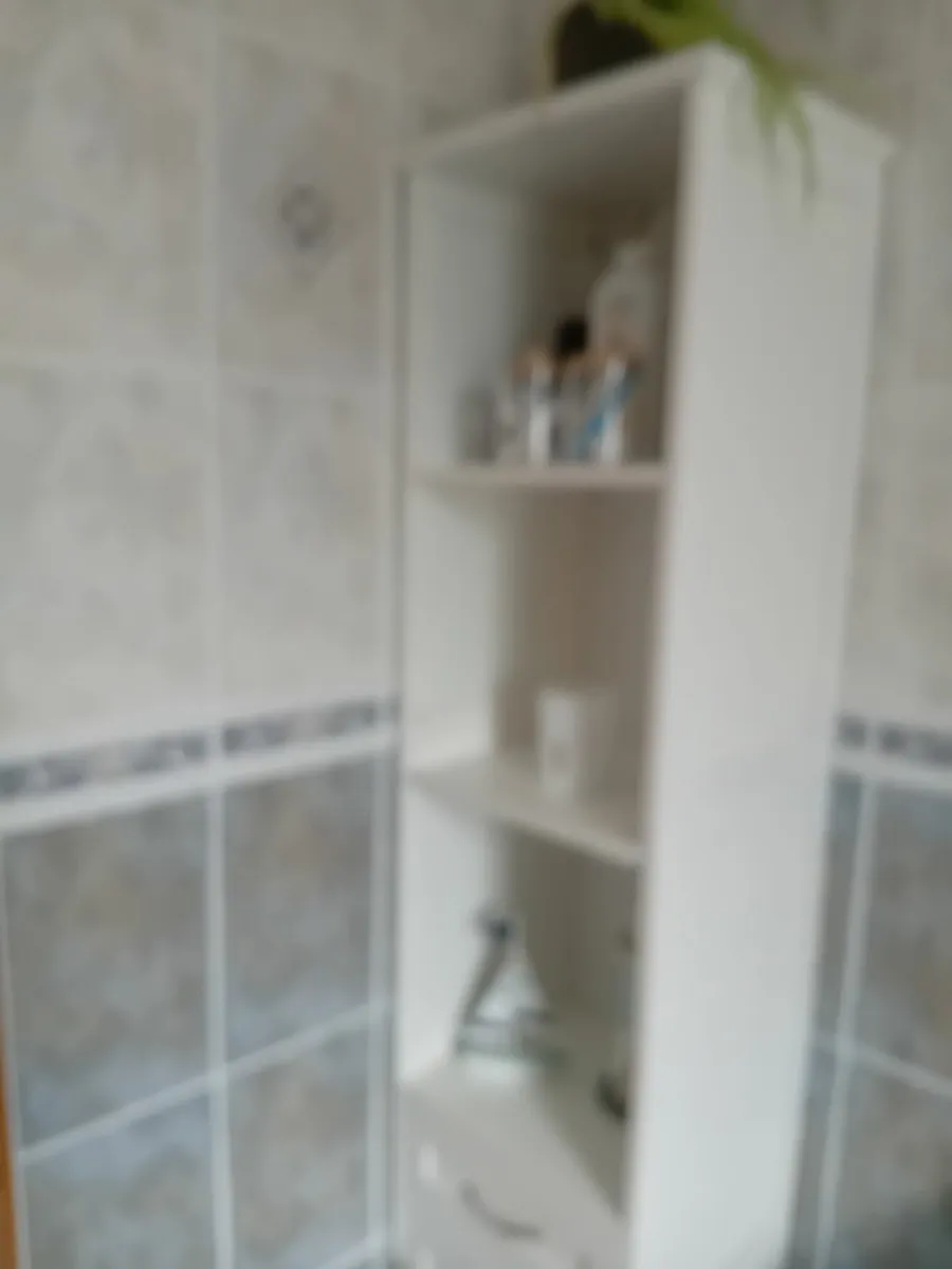 Bathroom Cabinet - Image 4