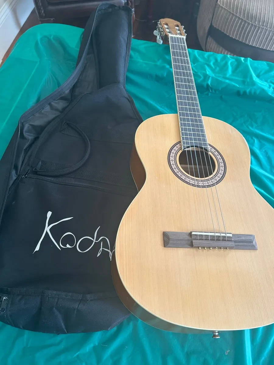 Guitar - Image 2