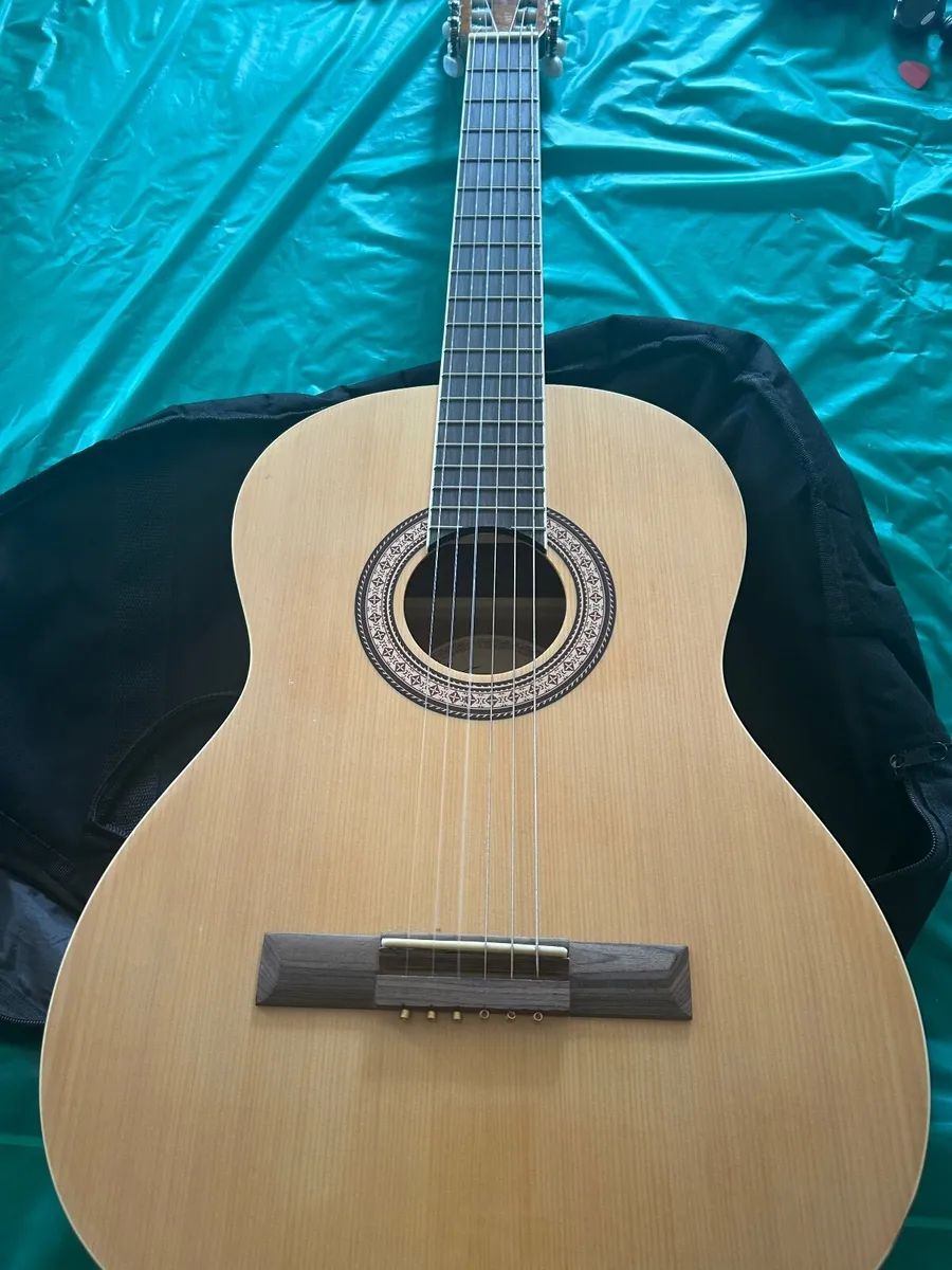 Guitar - Image 3