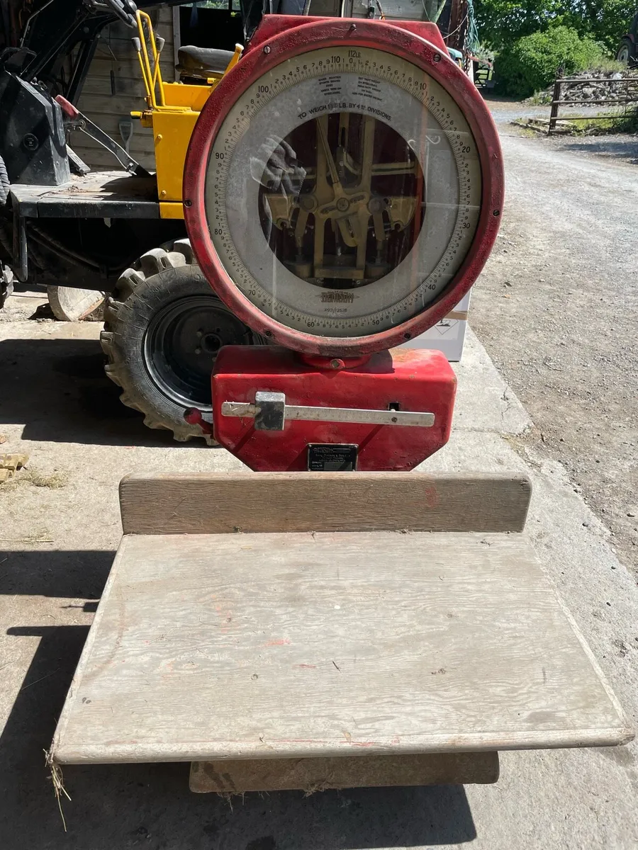 Weighing Scales - Image 2