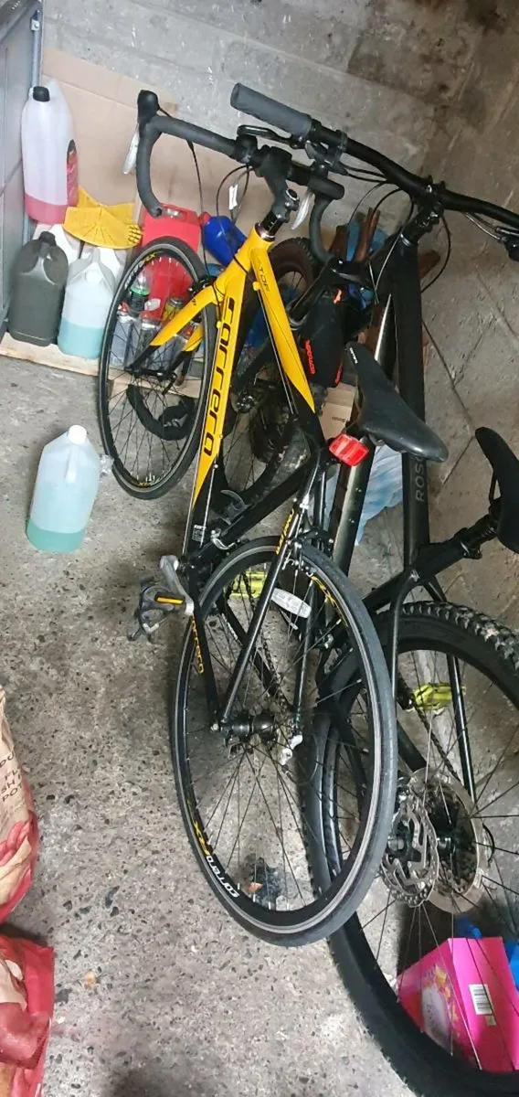 Carrera TDF