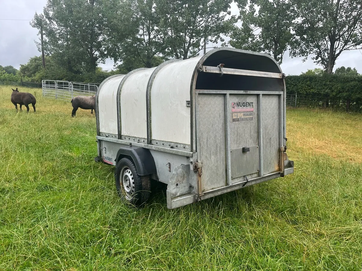Nugent sheep trailer - Image 2
