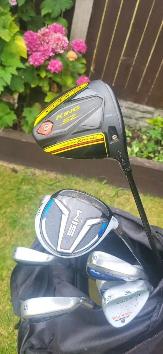 Cobra Golf Clubs - Image 1