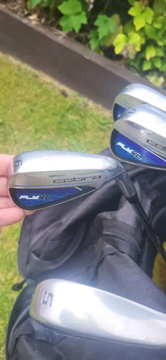 Cobra Golf Clubs - Image 2
