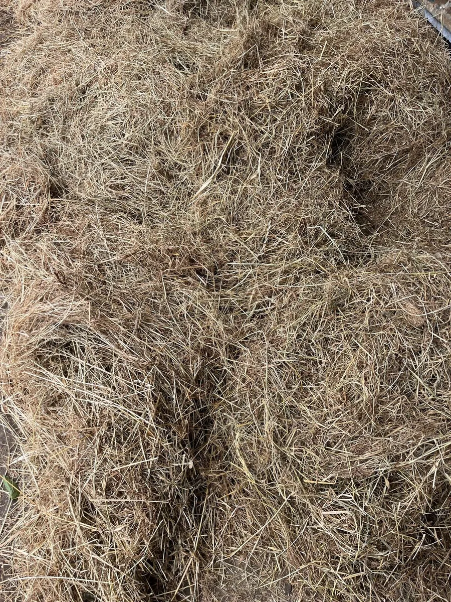 Haylage - Image 2