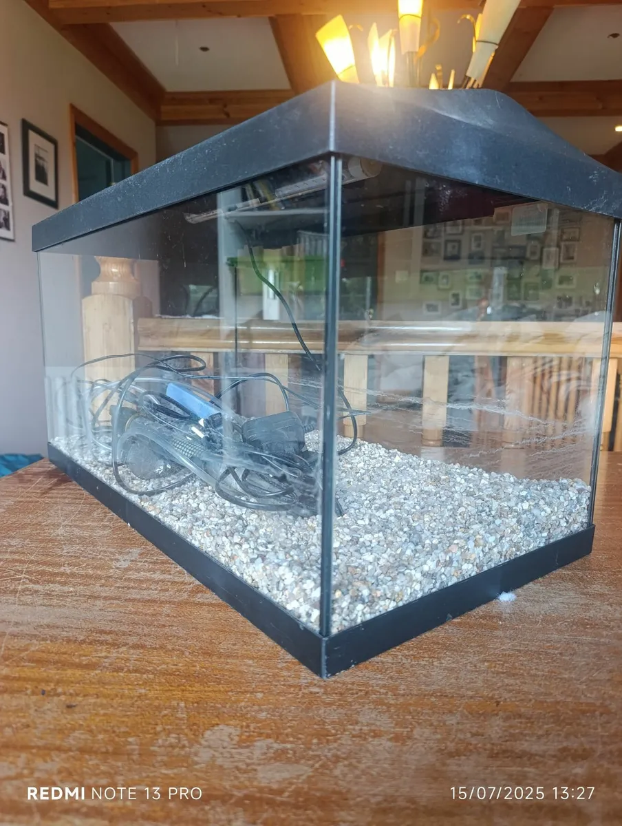 Fish tank - Image 1