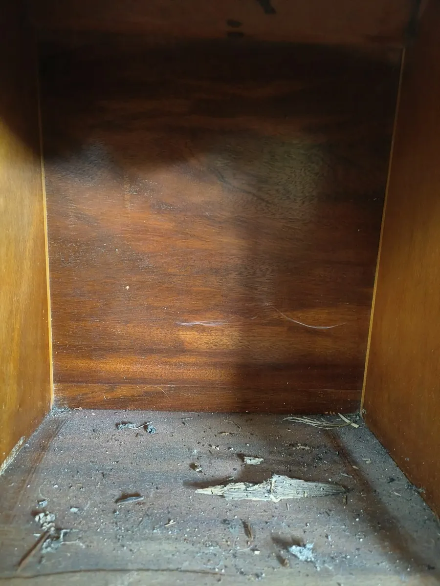 Vintage cabinet - Image 3