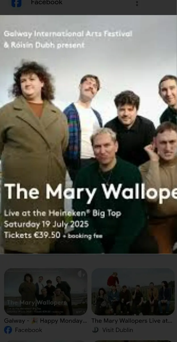 1 Mary Wallopers Ticket for Galway show