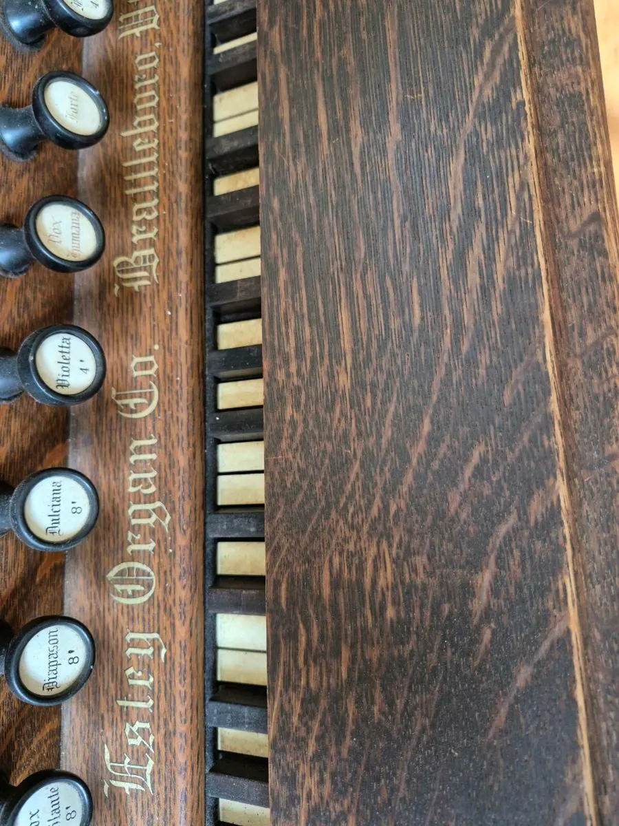 Estry Organ - Image 1