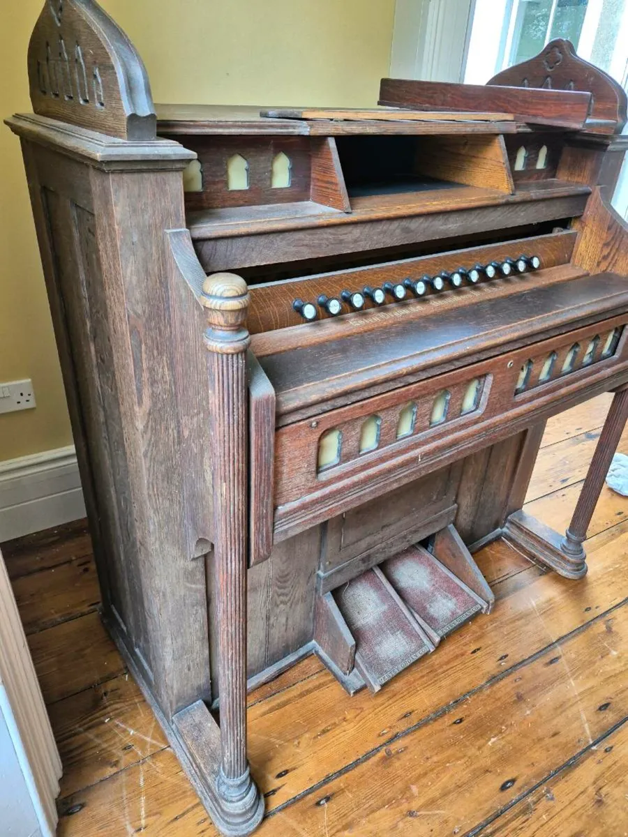 Estry Organ - Image 2