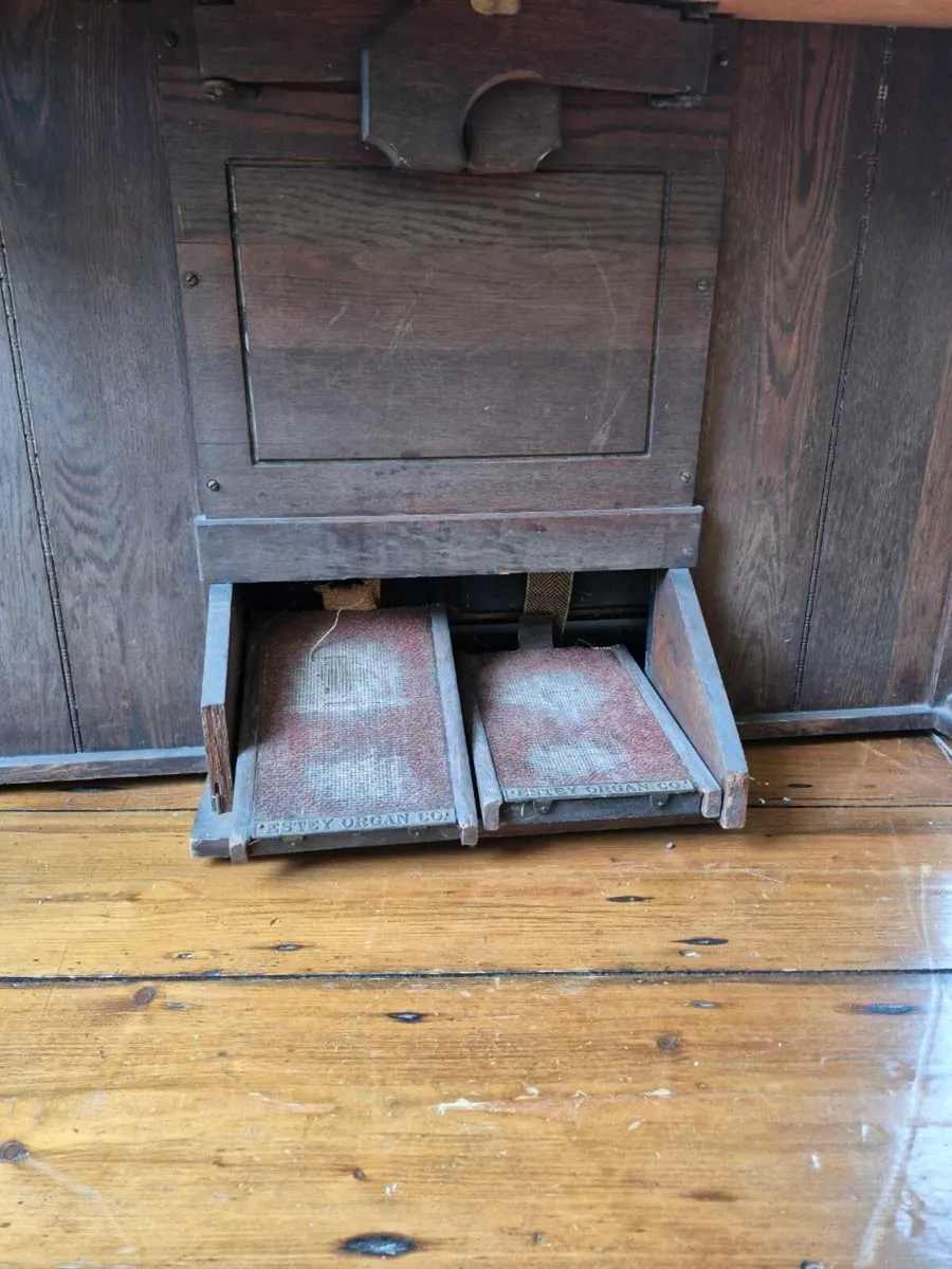 Estry Organ - Image 3