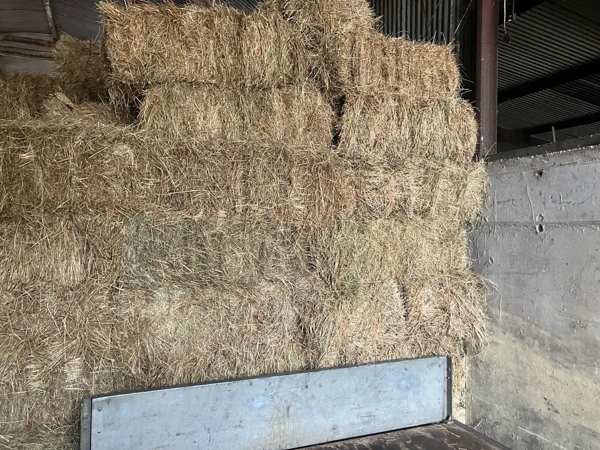 Hay - Image 1