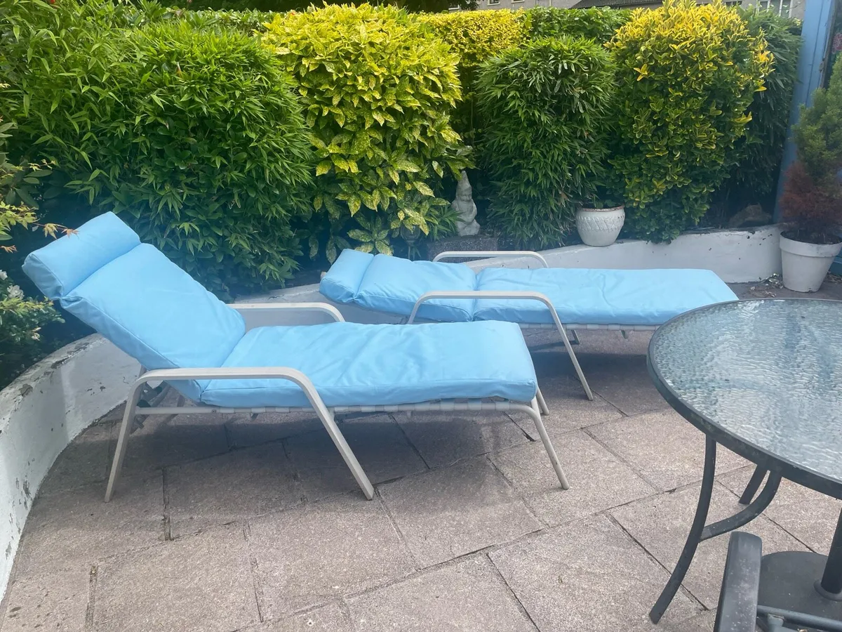 Sun loungers - Image 1