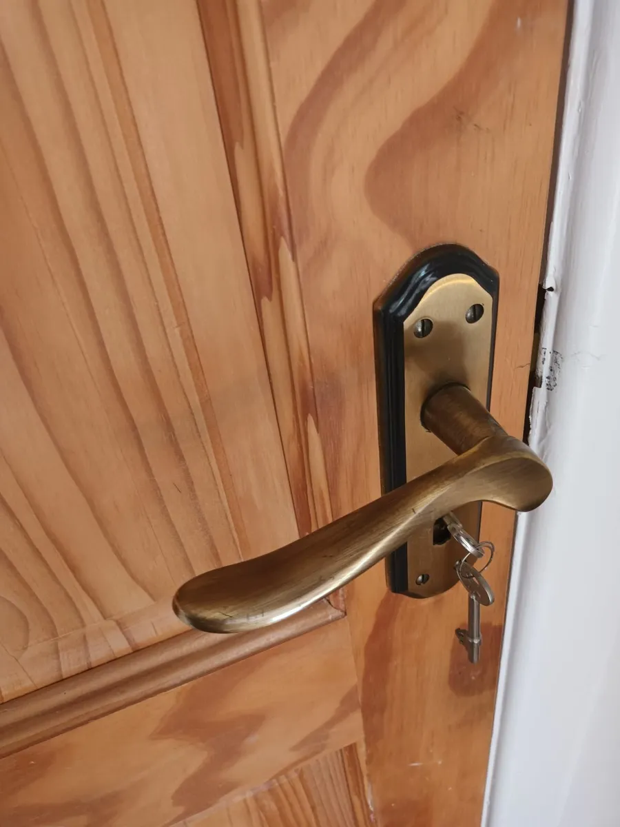 Internal doors - Image 2