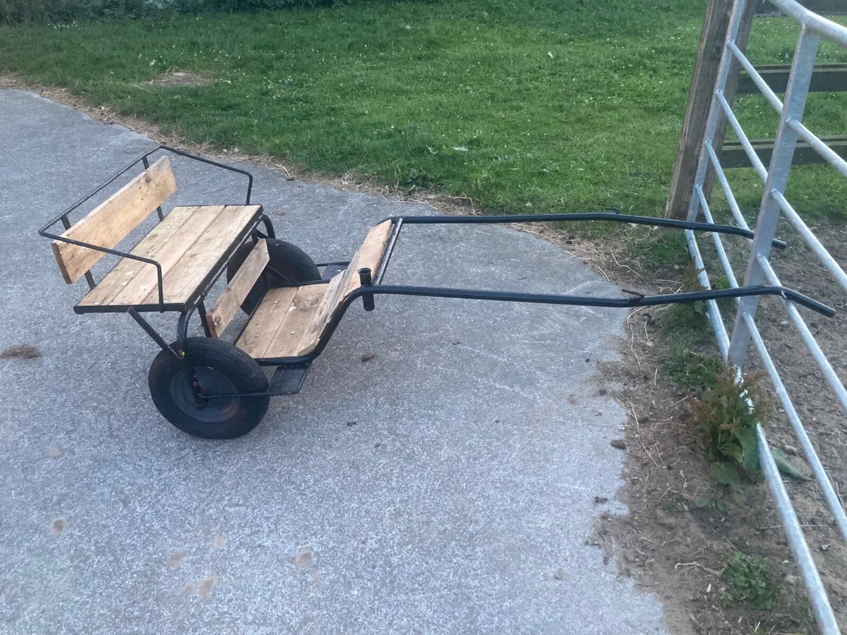 Shetland pony cart - Image 1