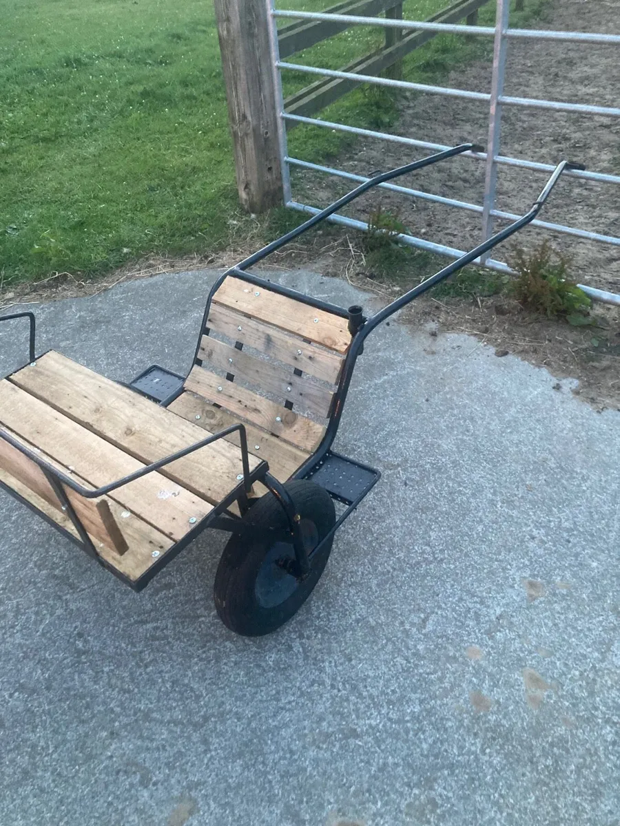 Shetland pony cart - Image 3
