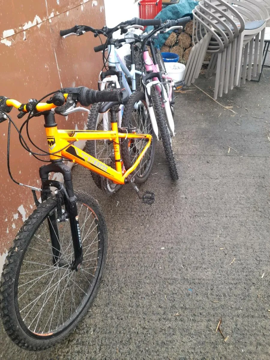 Selection.of.bikes. - Image 1