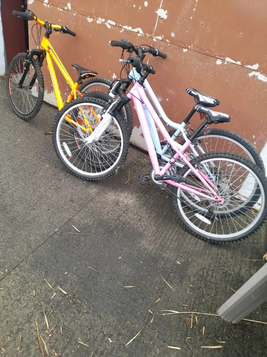 Selection.of.bikes. - Image 2