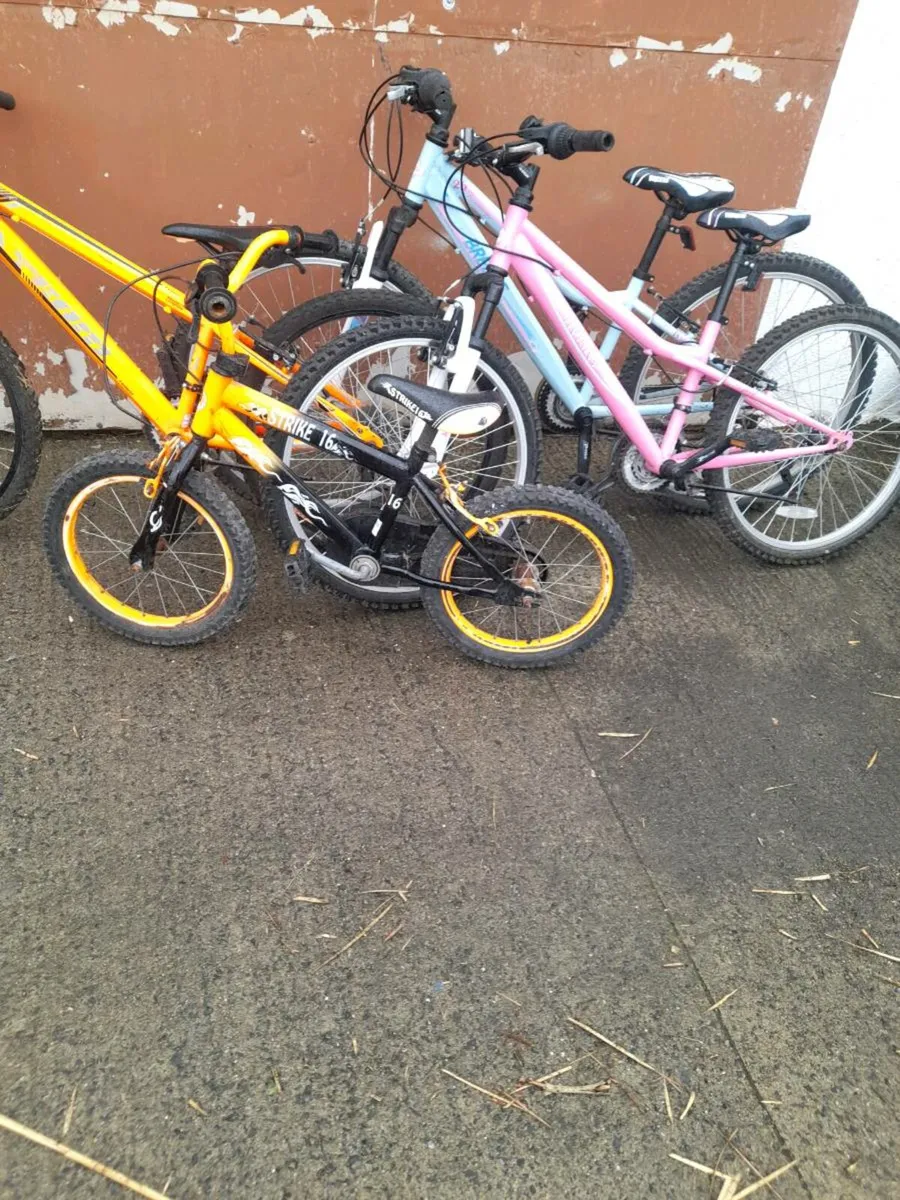 Selection.of.bikes. - Image 3