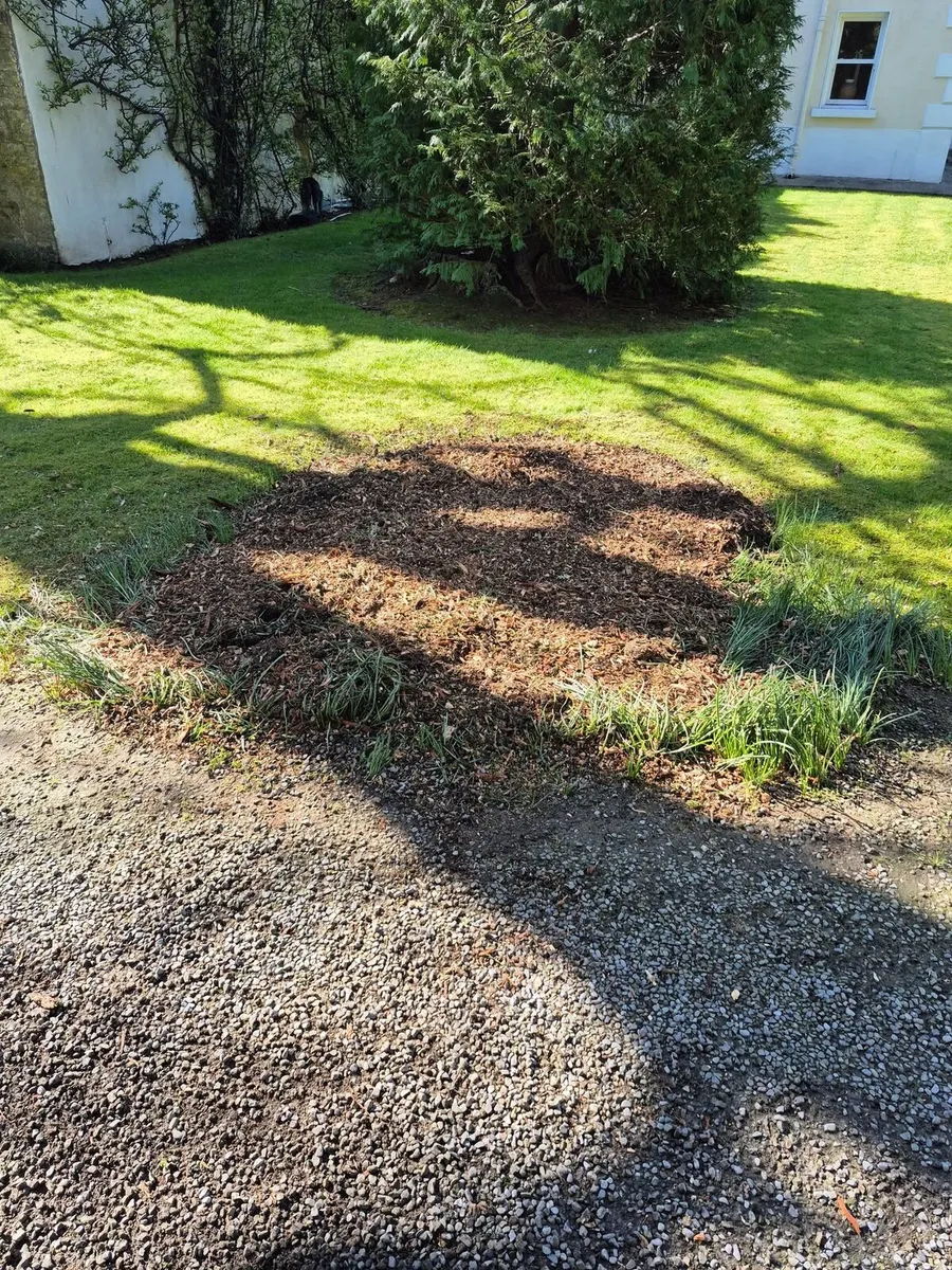 Stump removal - Image 2