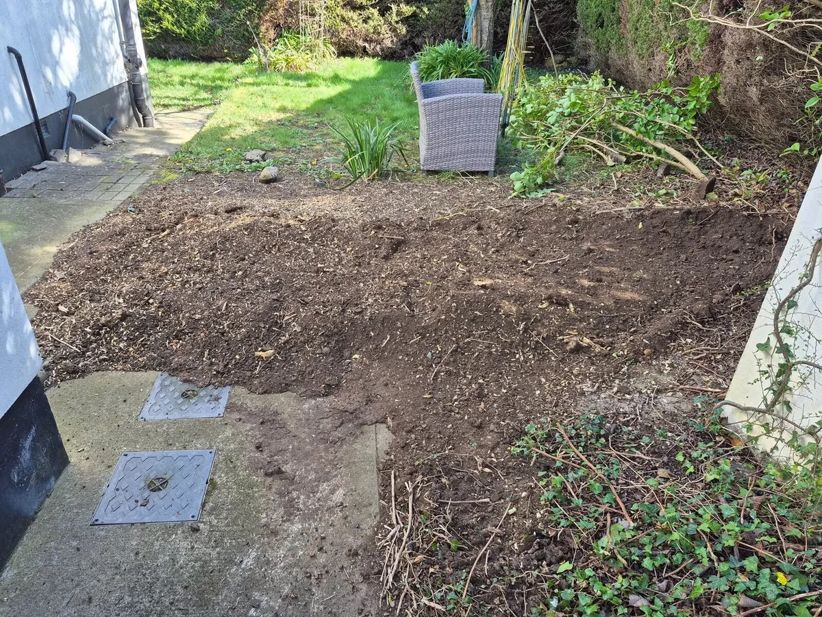 Stump removal - Image 4