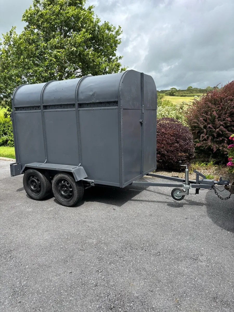 Dooley 8x4”6 cattle box - Image 1