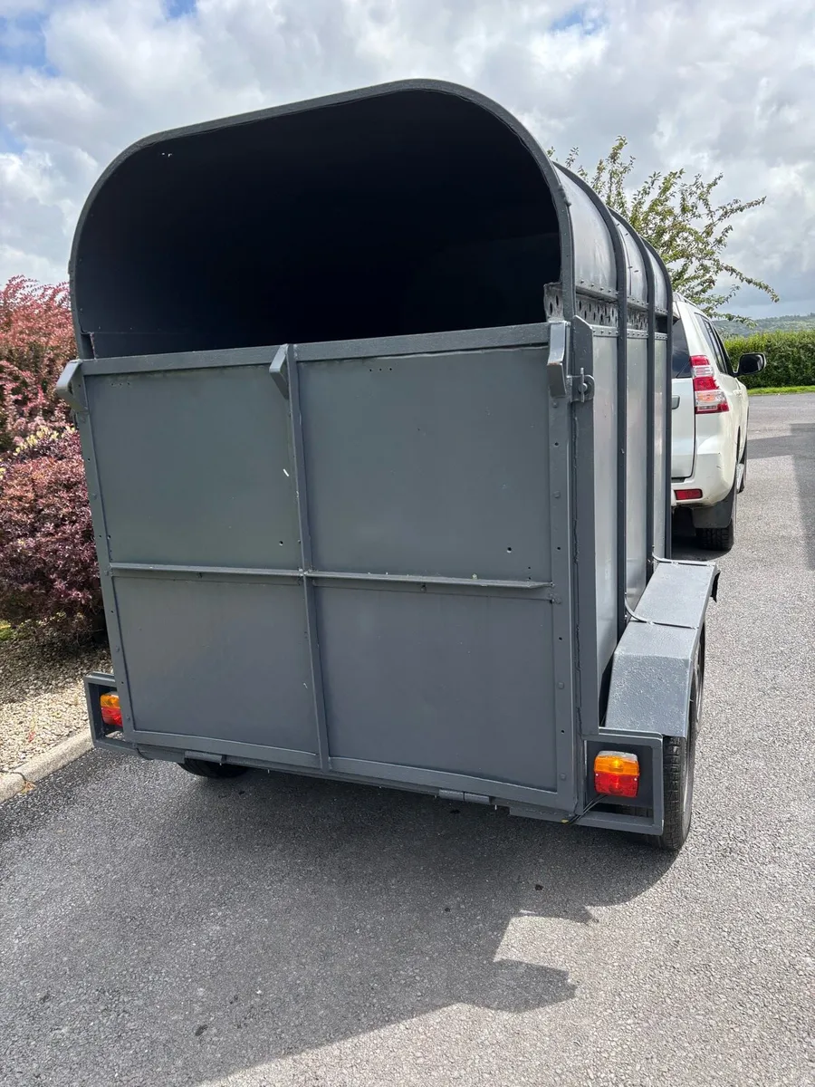 Dooley 8x4”6 cattle box - Image 2