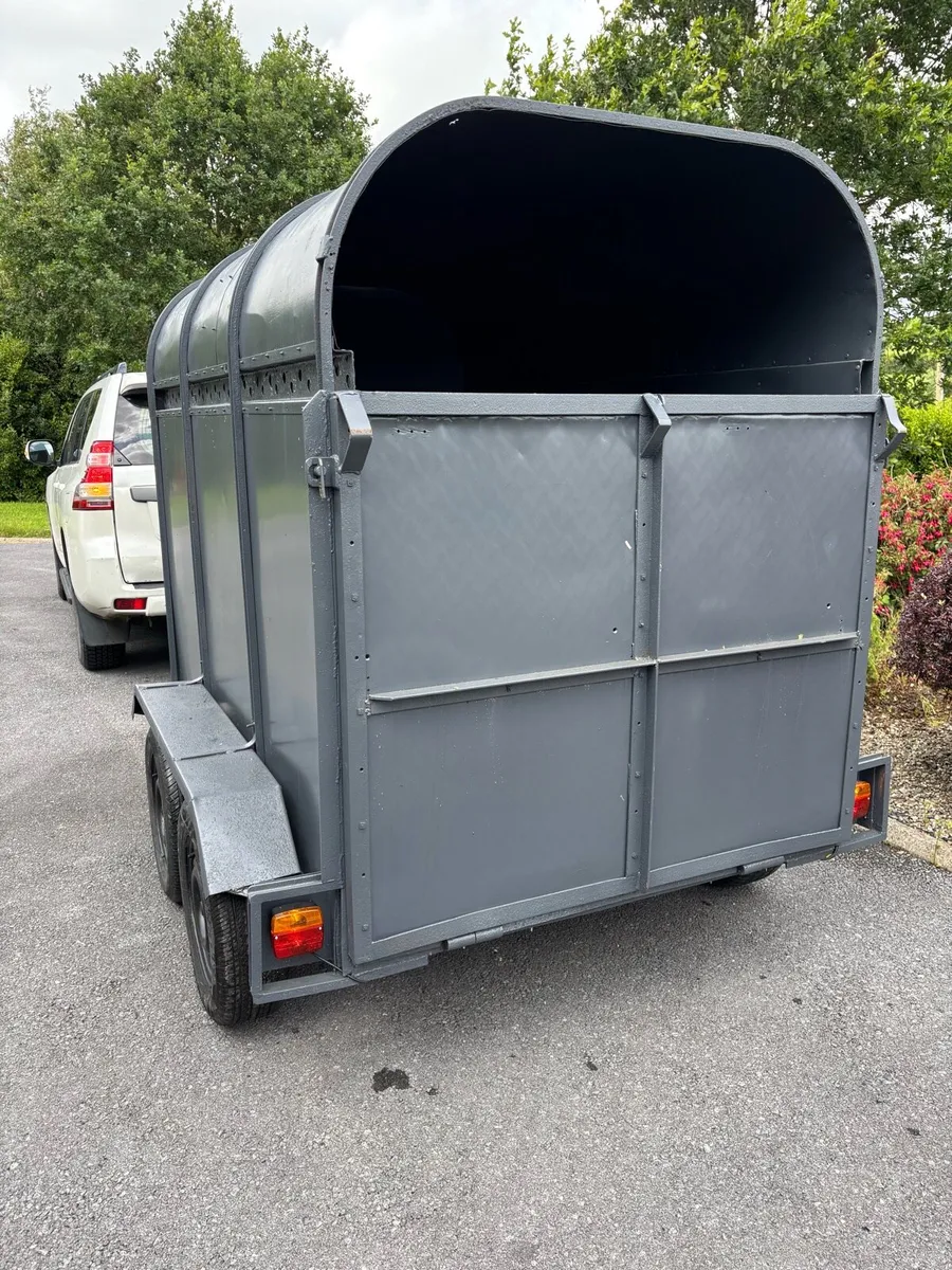 Dooley 8x4”6 cattle box - Image 4
