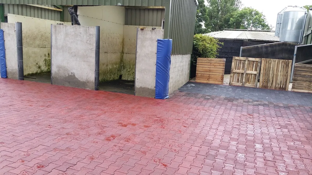 Rubber Bricks - Image 1