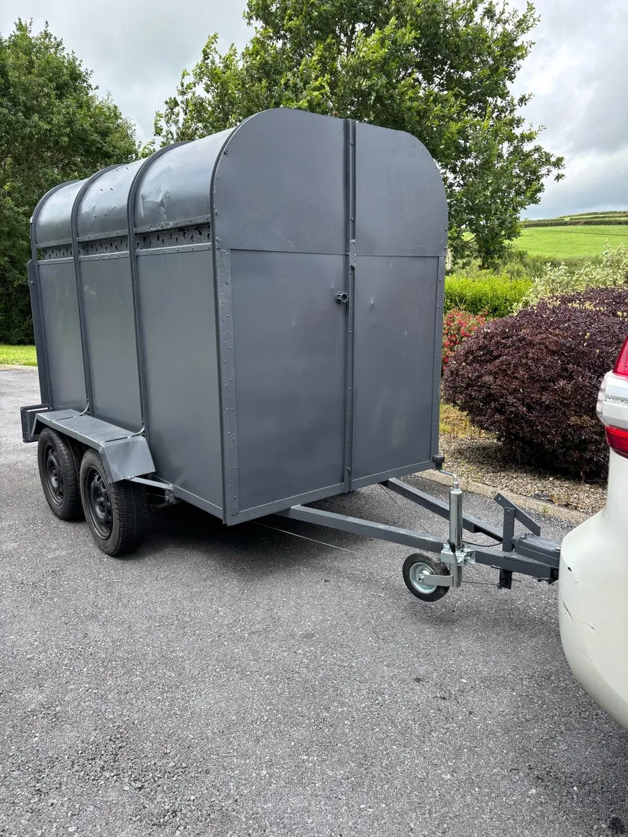 Dooley 8x4”6 cattle box - Image 1