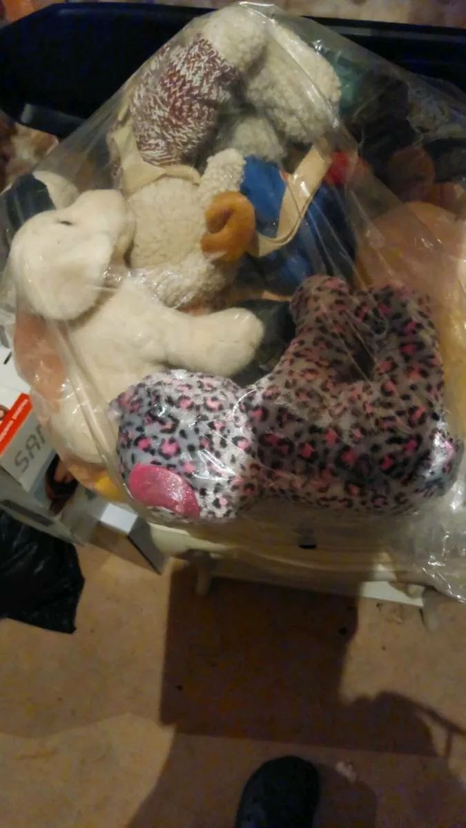 Teddys - Image 1