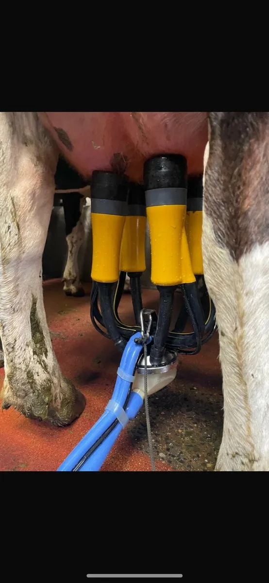 Automatic teat dipping and cluster flushing system - Image 1