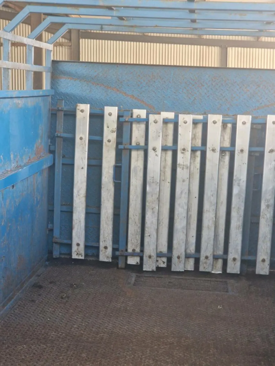 Cattle trailer - Image 3