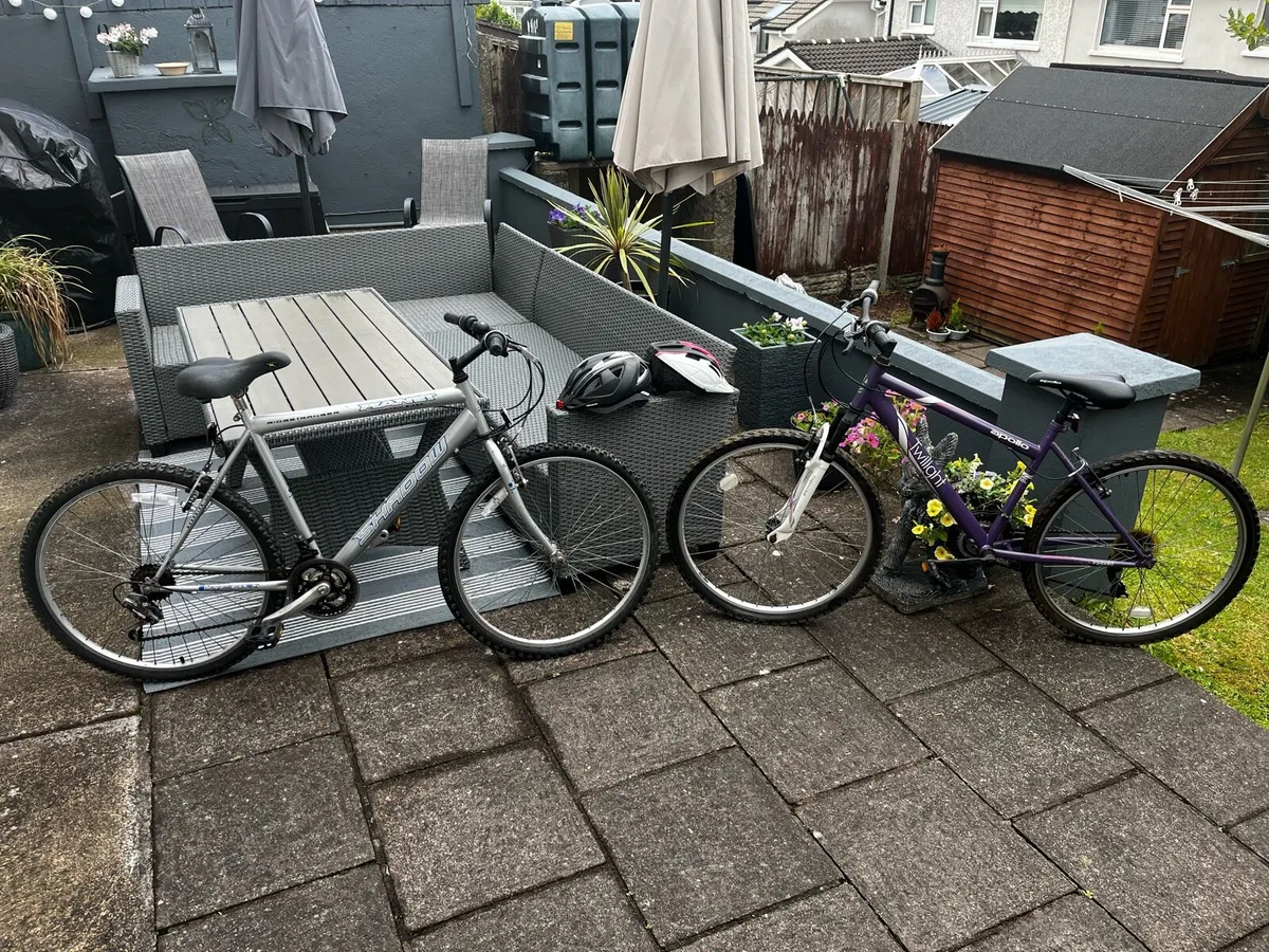 Two bicycles,… Male and Female - Image 1
