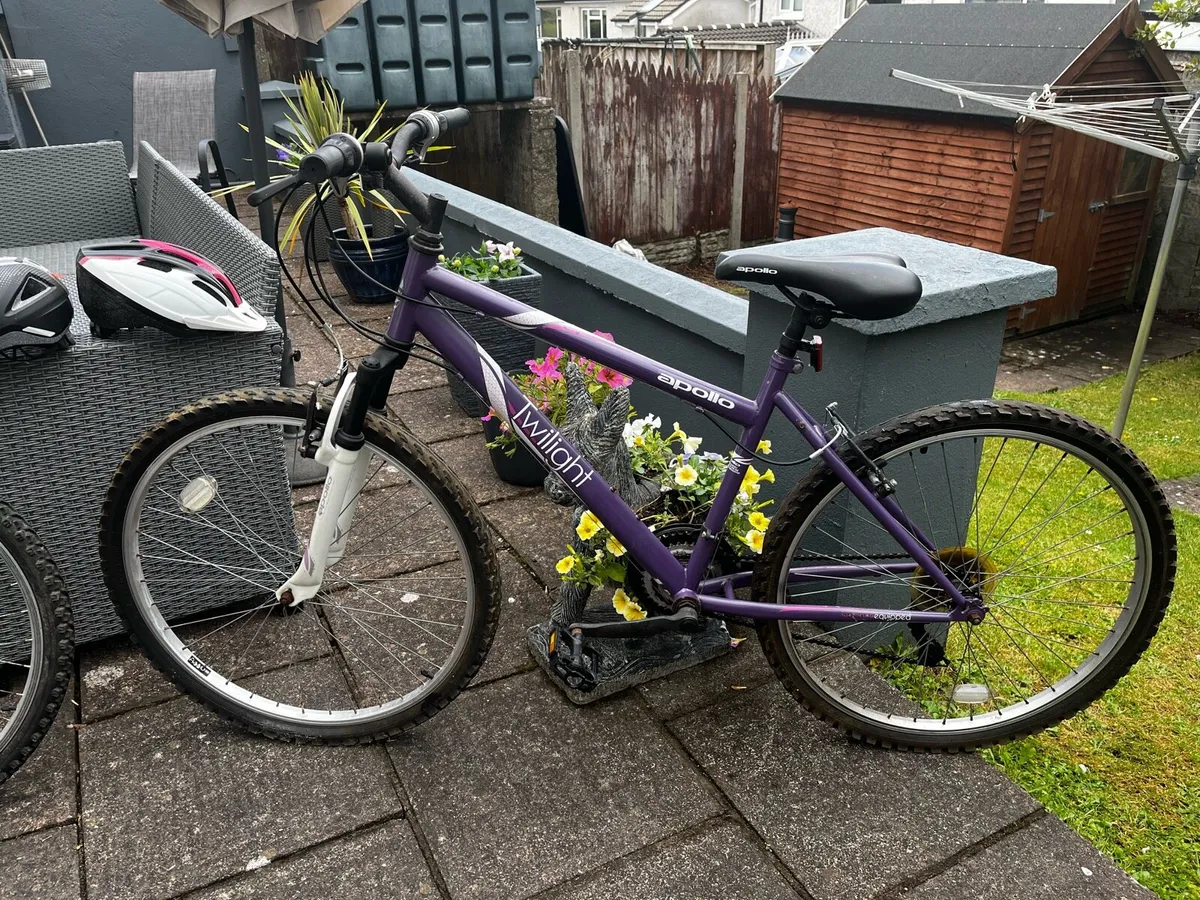 Two bicycles,… Male and Female - Image 3