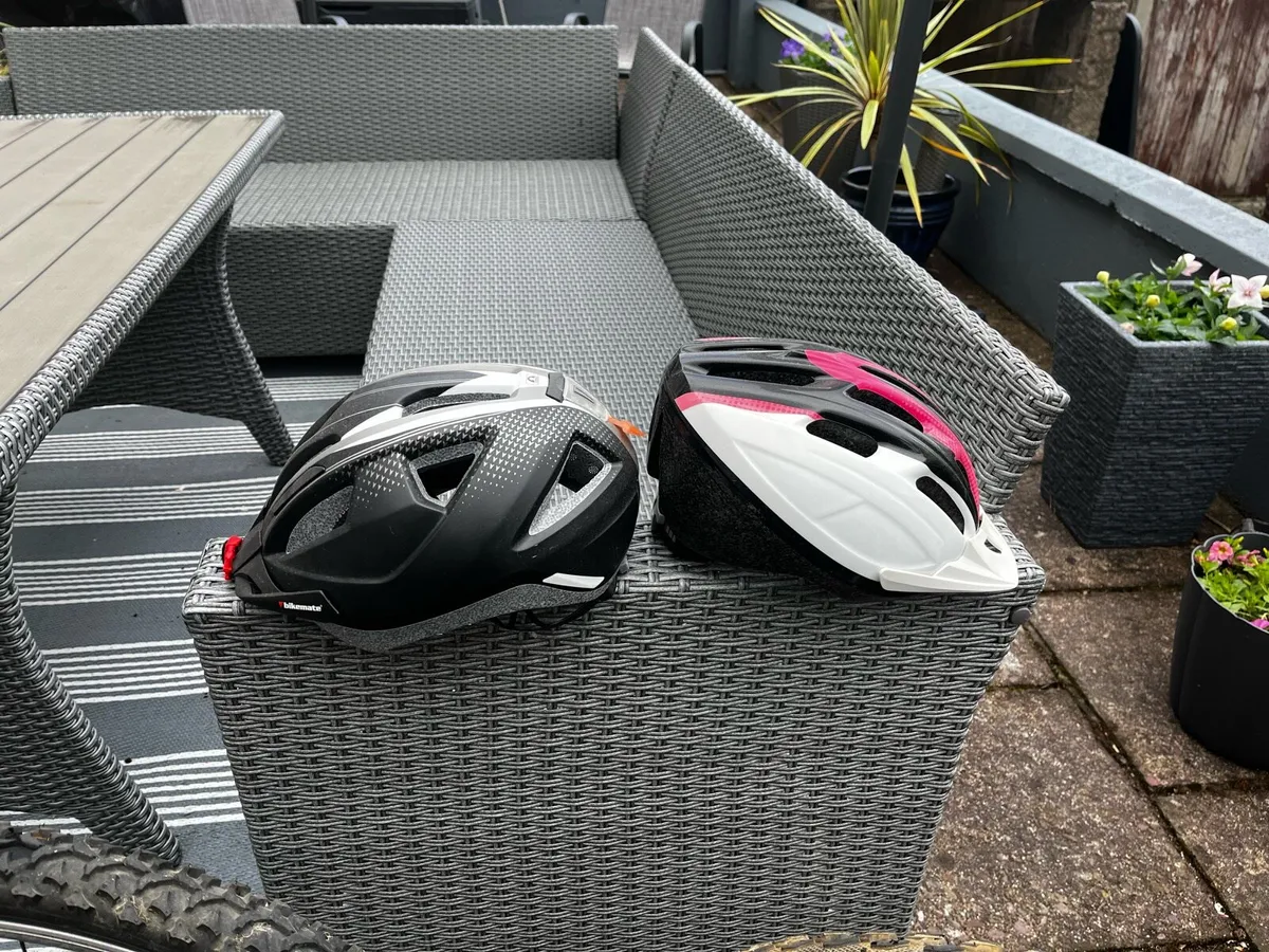 Two bicycles,… Male and Female - Image 4