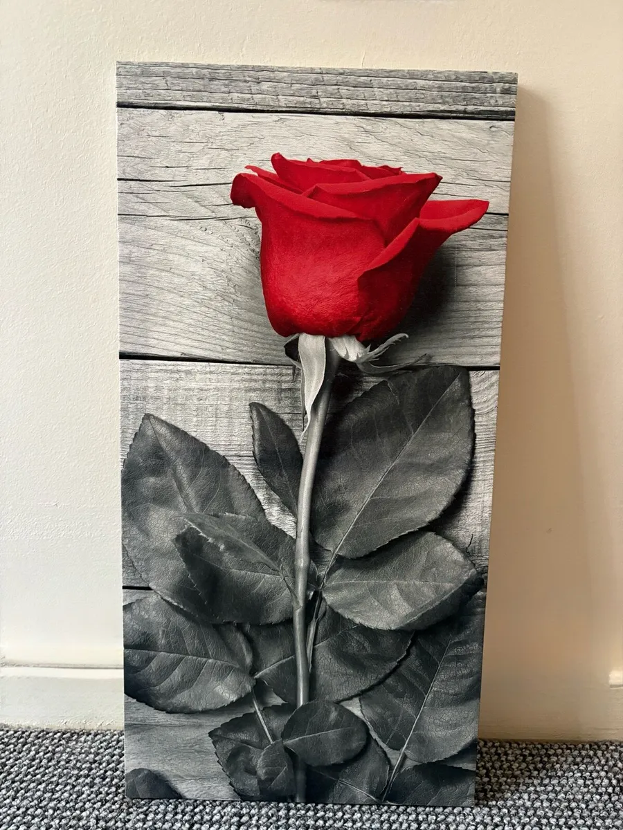 Red Rose Frame