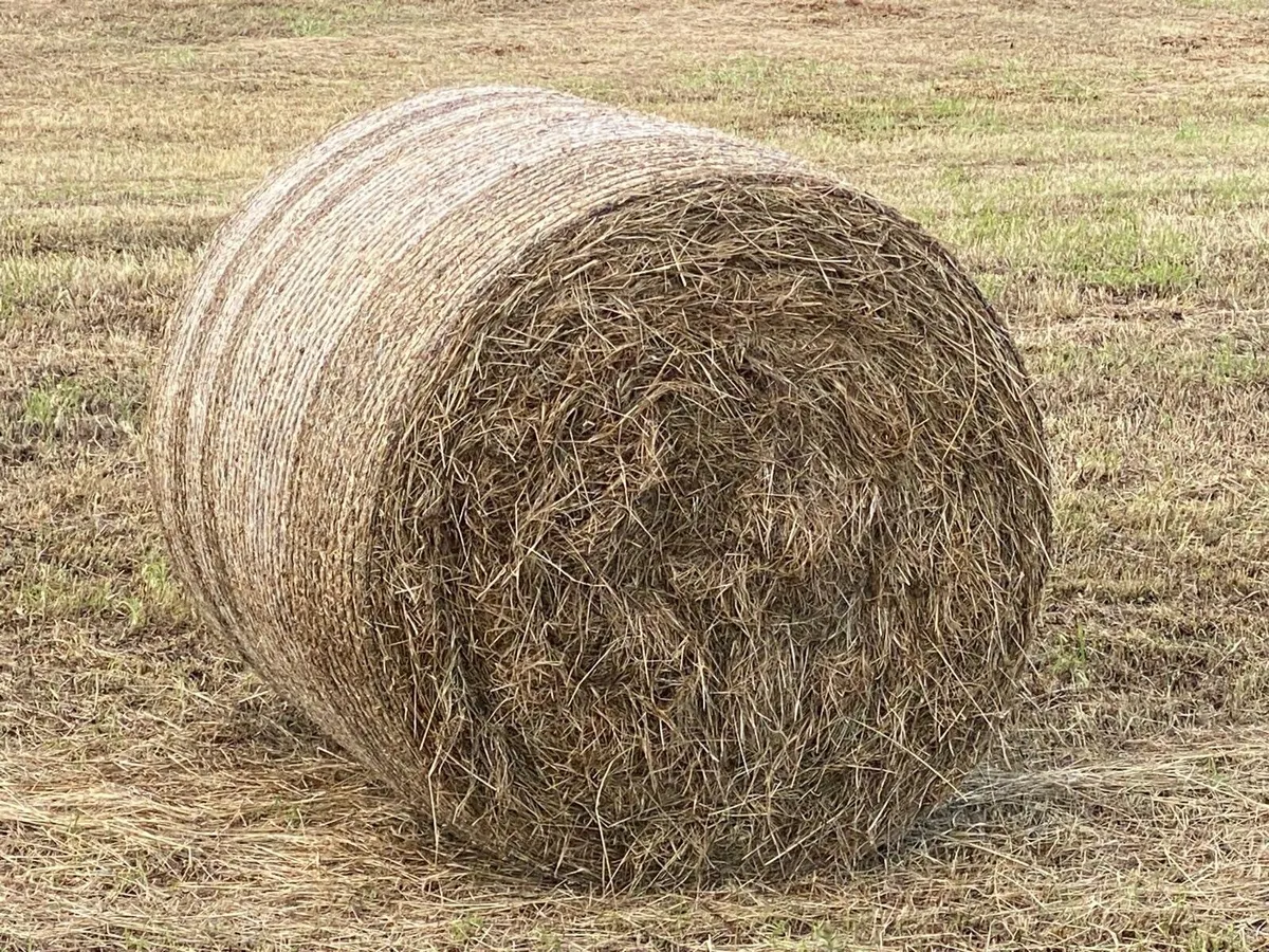 Hay Bales - Image 1