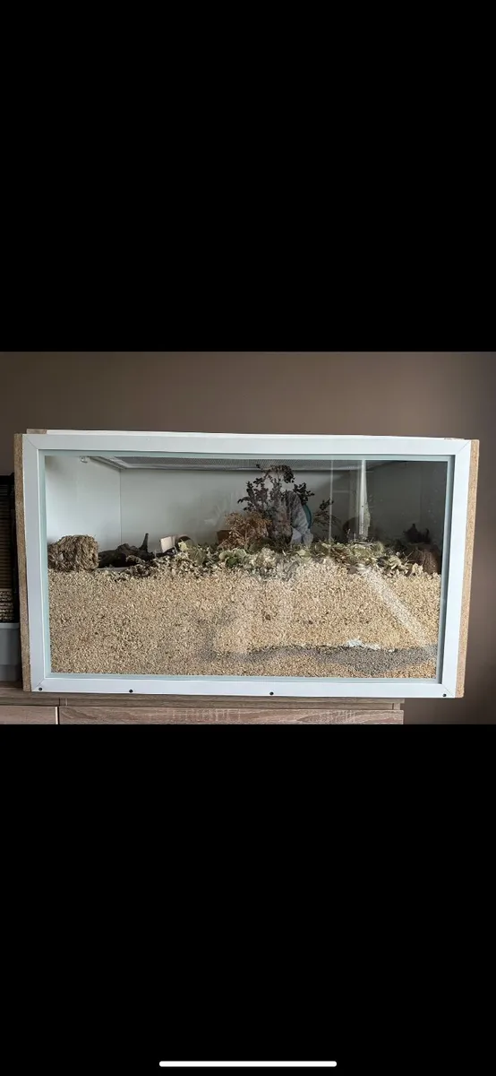 ETHICAL HAMSTER ENCLOSURE - Image 1