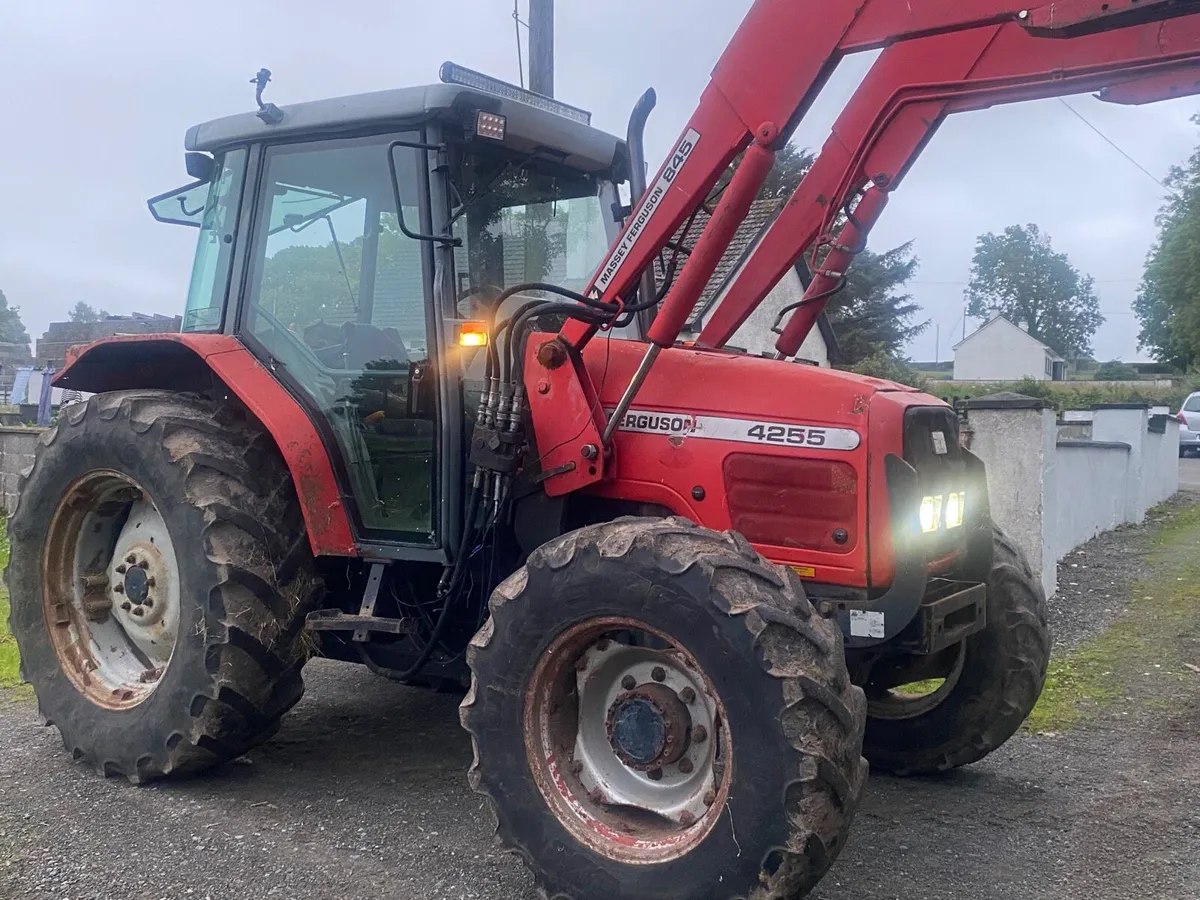 Massey Ferguson 4255 - Image 1